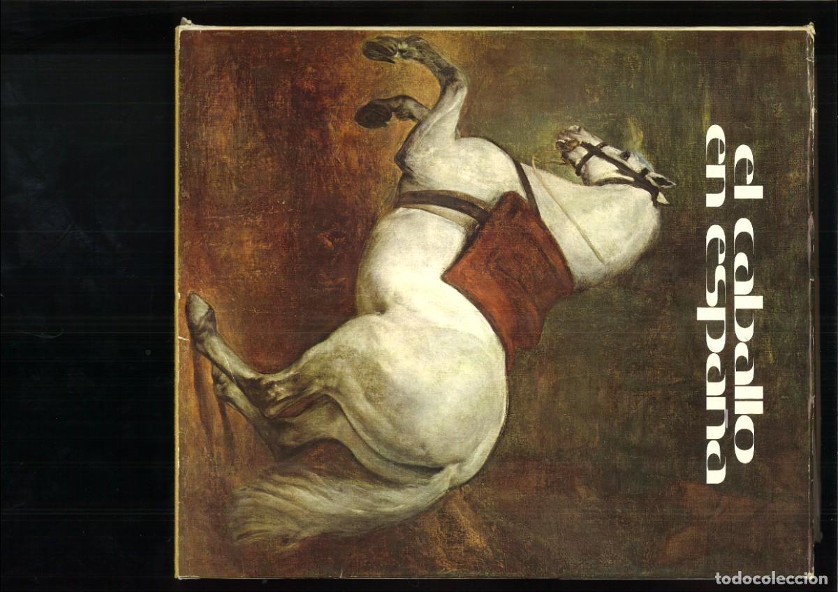 Libros: EL CABALLO EN ESPA&Ntilde;A. Varios - Foto 1