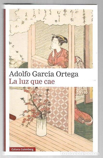 Libros: LUZ QUE CAE - LA - GARCIA ORTEGA, ADOLFO - Foto 1