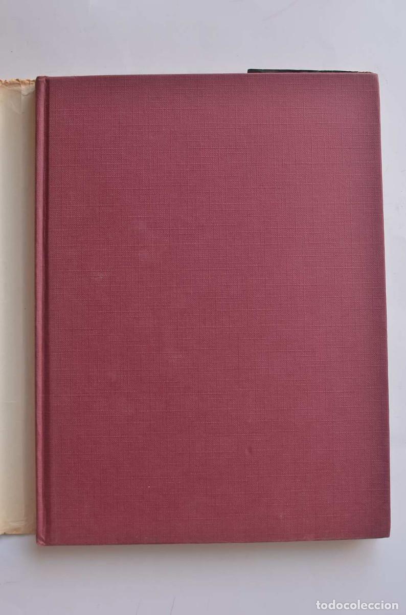 Libros: La nueva historia de Ad&aacute;n y Eva - HAAF, G&uuml;nter - Foto 2