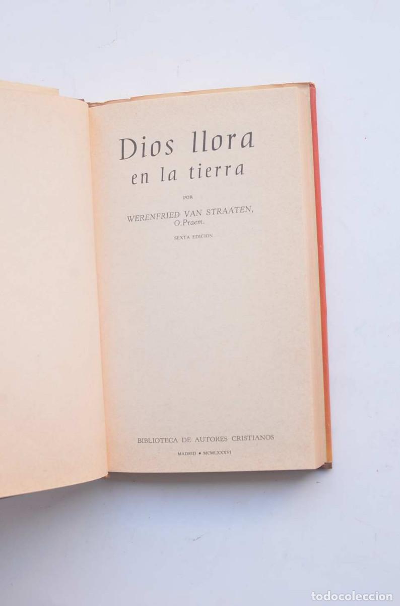Libros: Dios llora en la Tierra - STRAATEN, WERENFRIED van - Foto 3