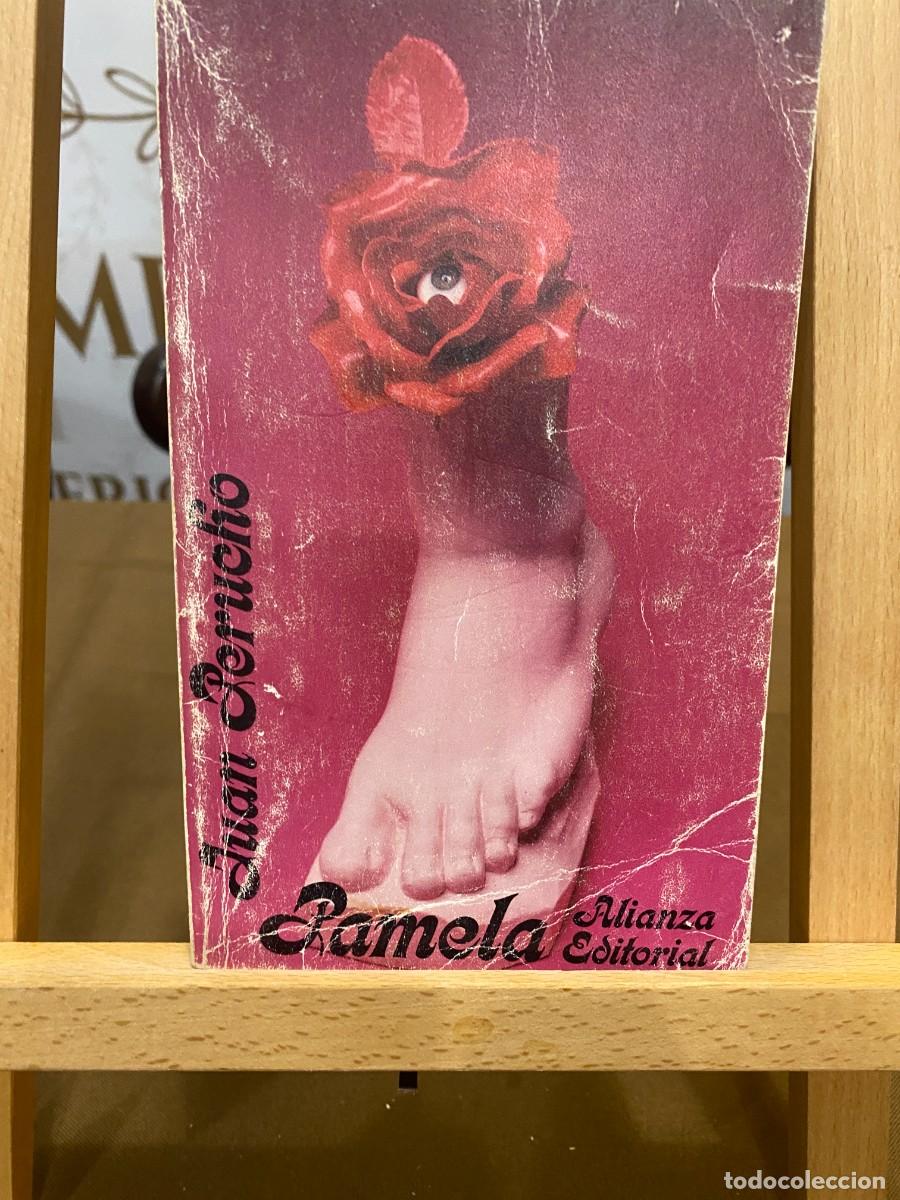 Libros: PAMELA - JUAN PERUCHO- ALIANZA - Foto 1