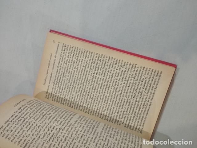 Libros: N&eacute;stor Luj&aacute;n - Decidnos, &iquest;qui&eacute;n mat&oacute; al conde? - Foto 2