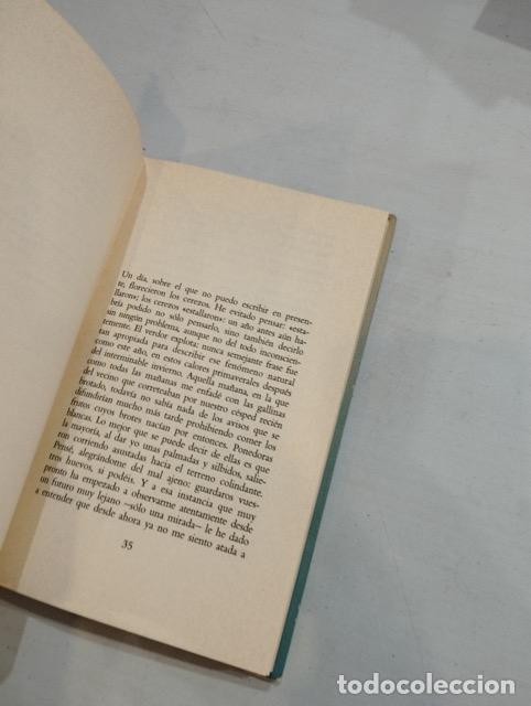Libros: Christa Wolf - Accidente / Tarde de junio - Foto 2