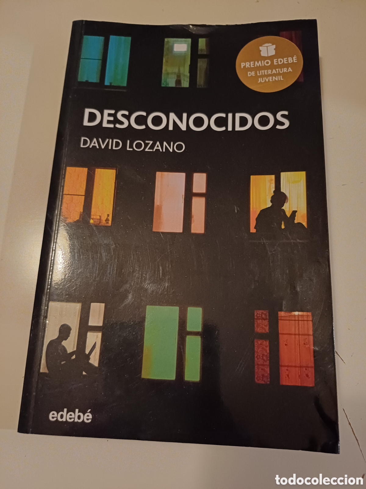 Libros: Desconocidos David Lozano Premio Edeb&eacute; - Foto 1