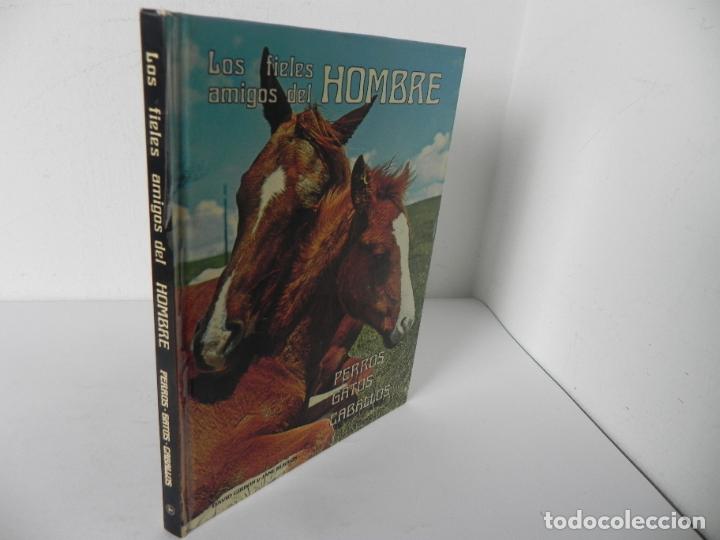 Livres: LOS FIELES AMIGOS DEL HOMBRE (PERROS GATOS CABALLOS (DAVID GIBBON/JANE BURTON) LA CAIXA-1977