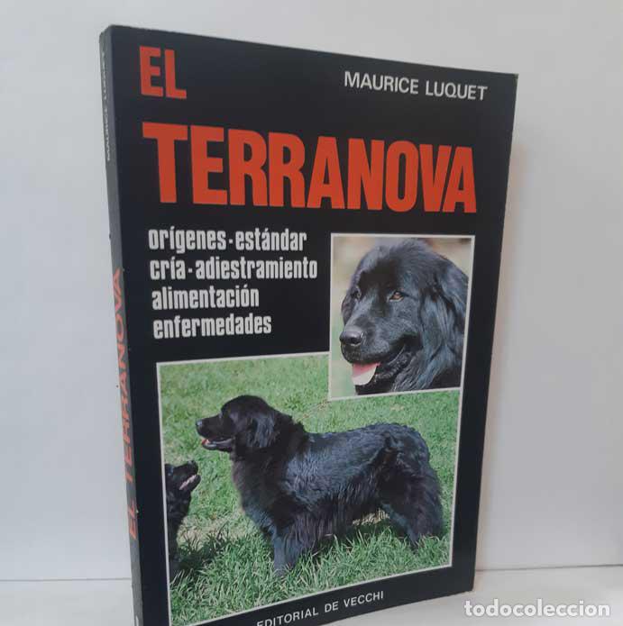 Libros: EL TERRANOVA - LUQUET, MAURICE - Foto 1