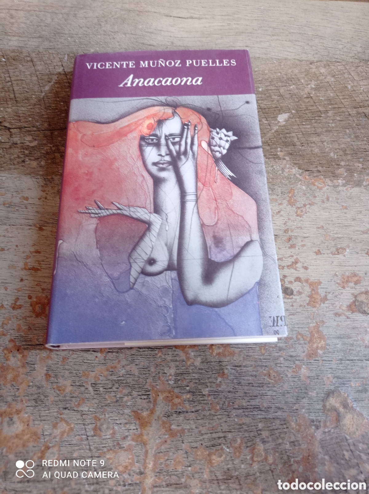 Libros: Vicente mu&ntilde;oz puelles anacaona