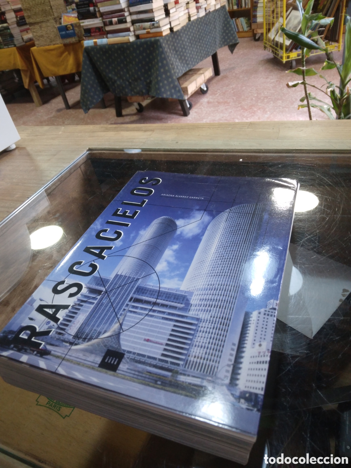 Libros: Rascacielos, Arianna Alvarez Garreta, - Foto 1