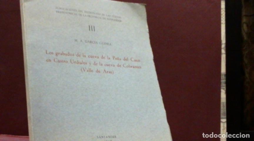 Libros: LOS GRABADOS DE LA CUEVA DE LA PE&Ntilde;A DEL CUCO EN CASTRO URDIALES Y DE LA CUEVA DE COBRANTES VALLE DE