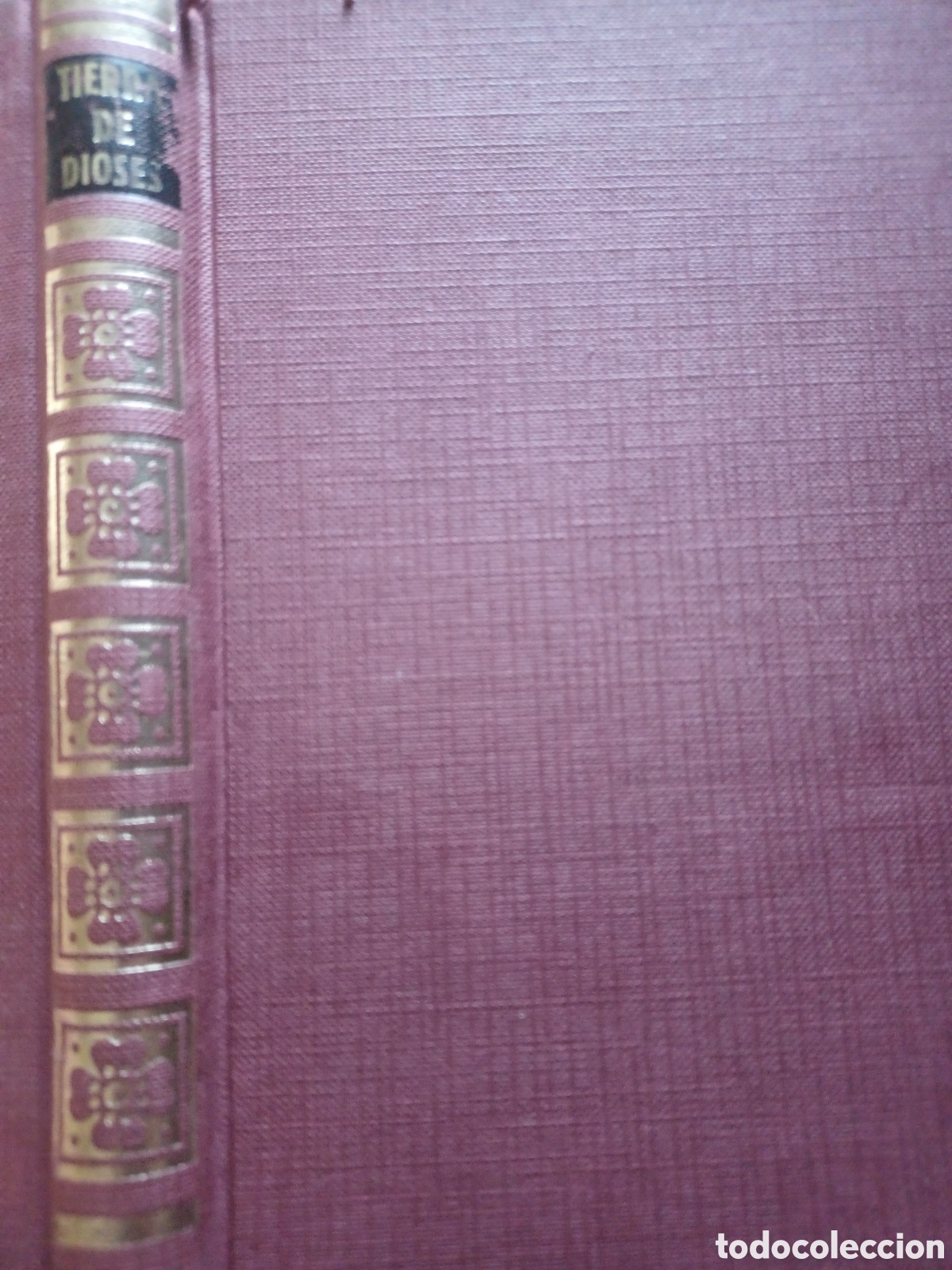 Libros: Barybook C5. . Tierra de dioses Hans Muller ediciones Petronio - Foto 1