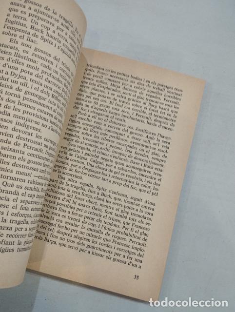 Libros: Jack London - La crida del bosc - Foto 2