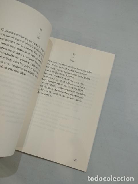 Libros: Jos&eacute; Vidal Valicourt - La playa de las gaviotas cojas - Foto 2