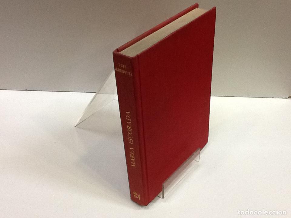 Libros: MAREA ESCORADA LUIS BERENGUER - Foto 1