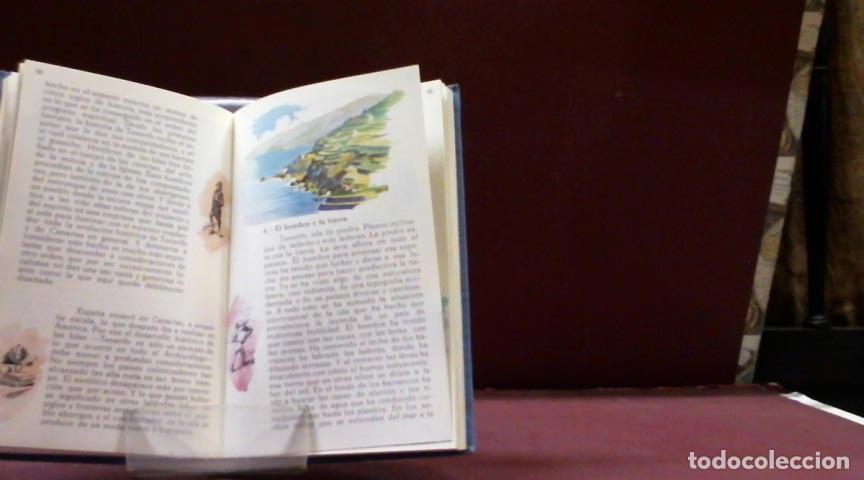Libros: EL LIBRO DE TENERIFE CUSCOY, LUIS DIEGO 1957 - Foto 2