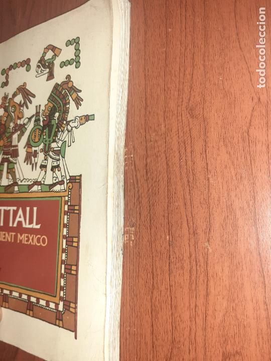 Libros: THE CODEX NUTTALL � CHAMANISMO - EDITADO POR ZELIA NUTTALL - Foto 6