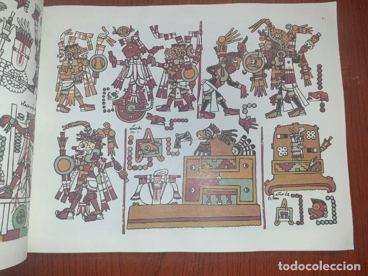 Libros: THE CODEX NUTTALL � CHAMANISMO - EDITADO POR ZELIA NUTTALL - Foto 10