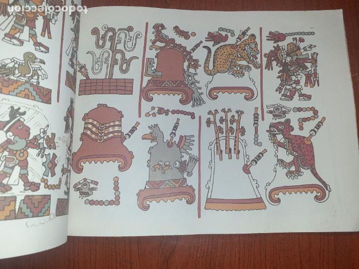 Libros: THE CODEX NUTTALL � CHAMANISMO - EDITADO POR ZELIA NUTTALL - Foto 11