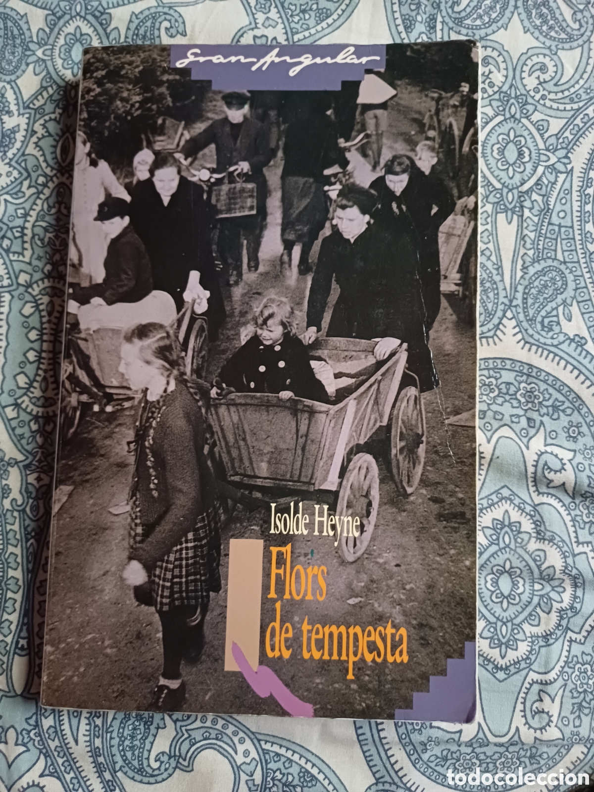 Libros: Flors de tempesta Isolde Heyne - Foto 1