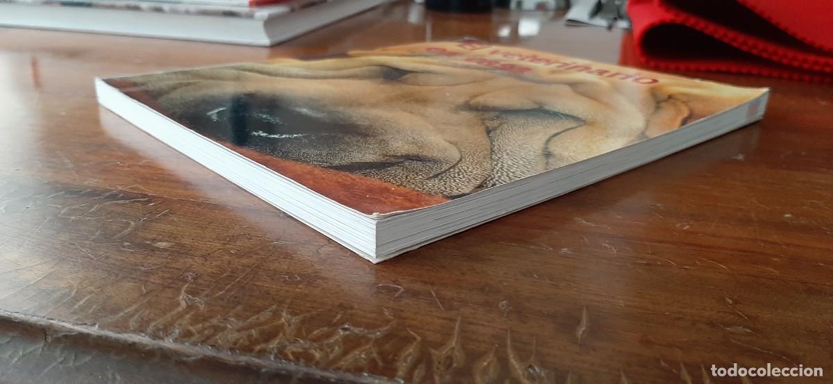 Libros: EL VETERINARIO EN CASA. KONEMANN - Foto 4