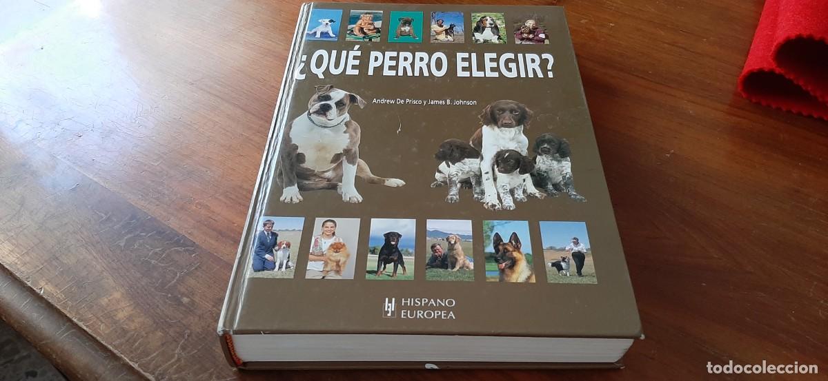 Libros: &iquest;QU&Eacute; PERRO ELEGIR? ANDREW DE PRISCO. HISPANO EURPEA - Foto 1