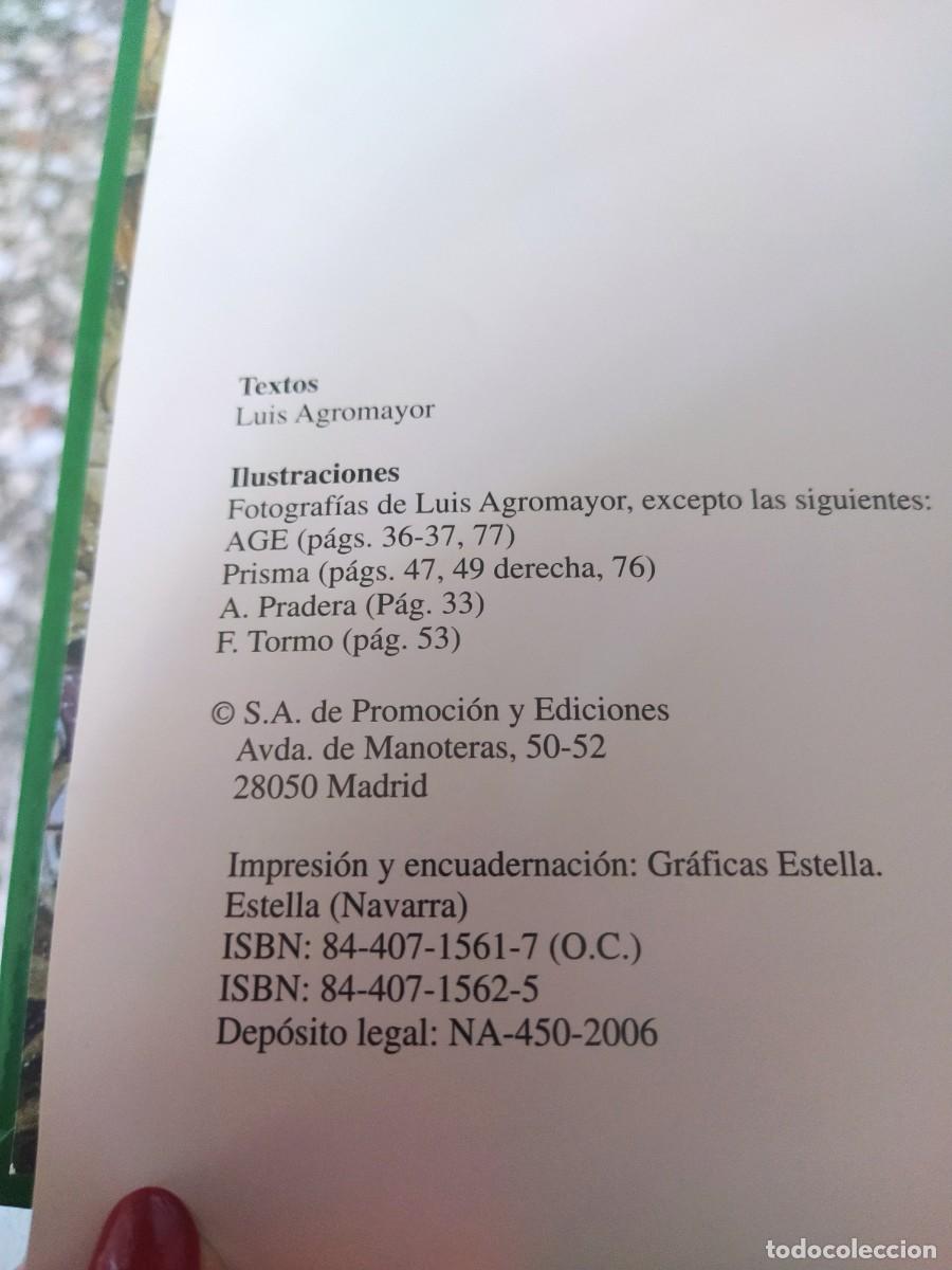 Libros: Libro Espa&ntilde;a paso a paso - Foto 12