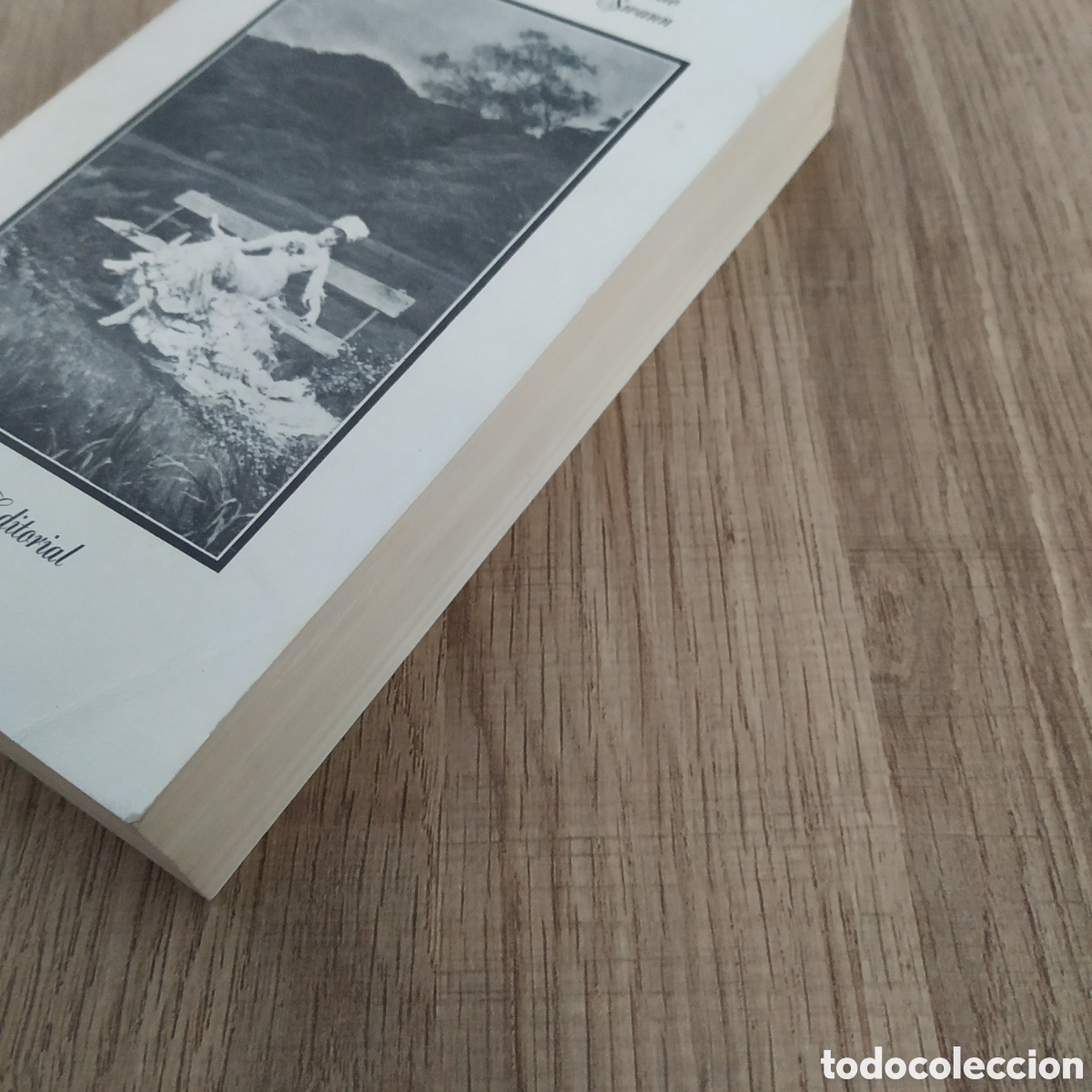 Libros: En busca del tiempo perdido. Libro 1. Marcel proust - Foto 2