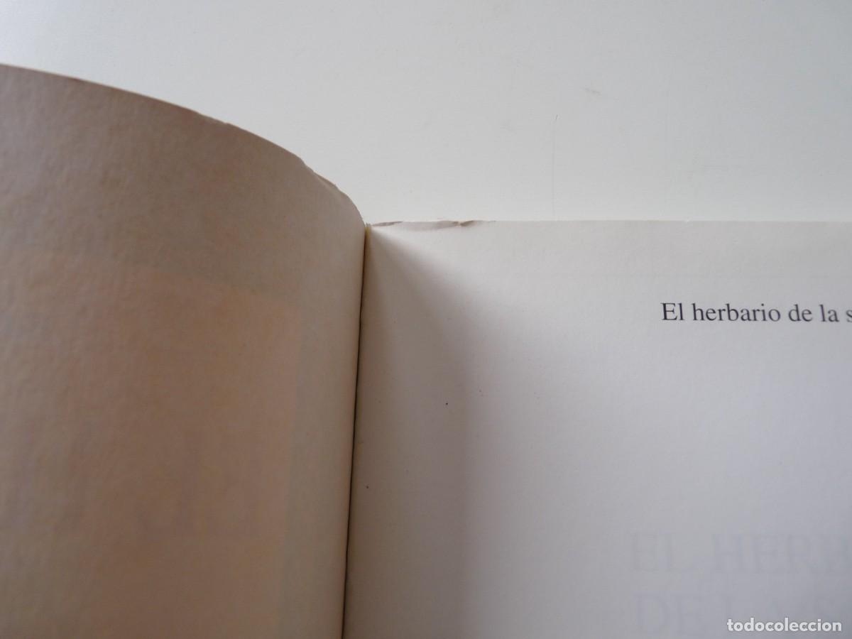 Libros: EL HERBARIO DE LA SALUD. BERNARDO TICLI - Foto 4