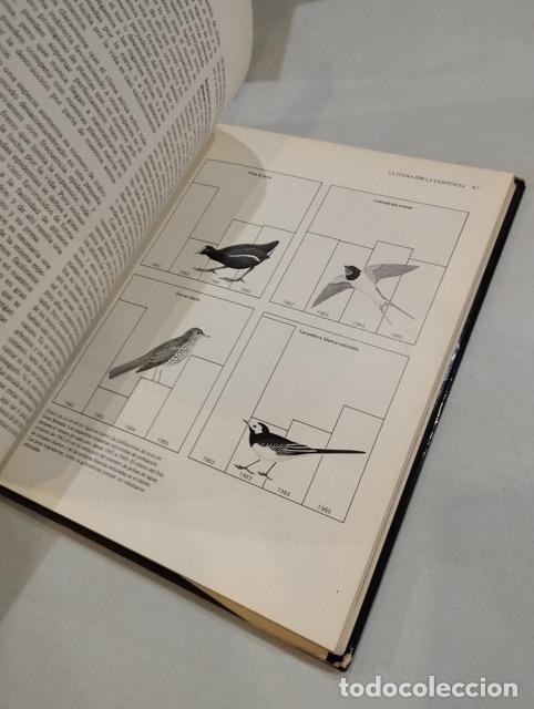 Libros: Alan Moorehead - Charles Darwin. El origen de la especies - Foto 2