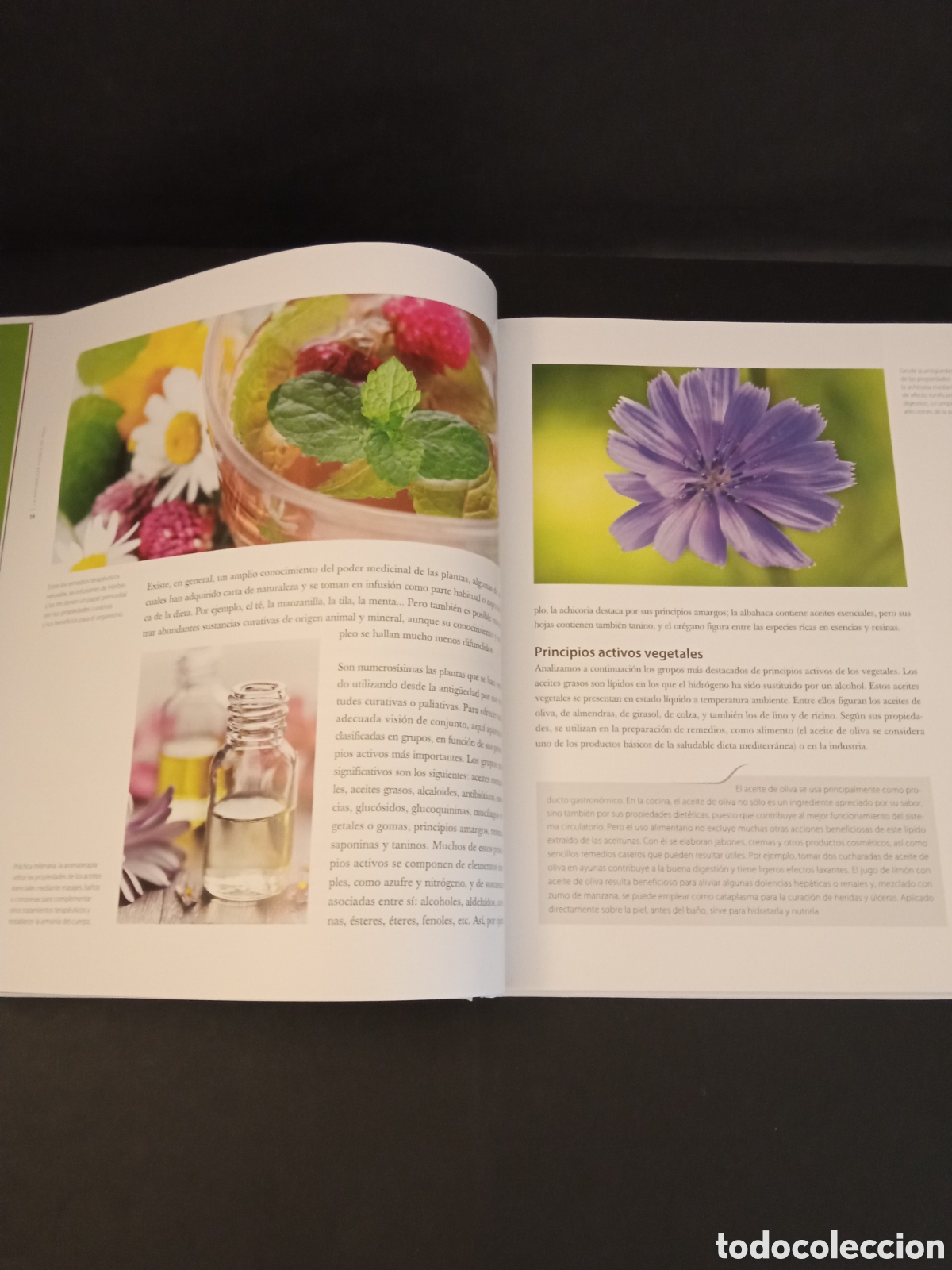 Libros: Salud y Bienestar Remedios naturales - Foto 5