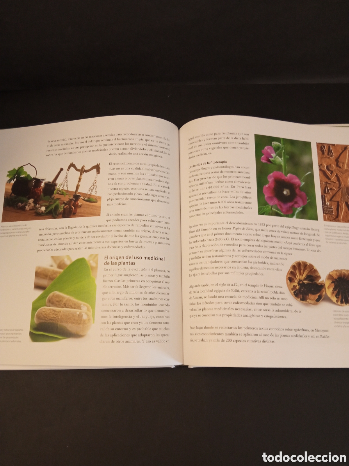Libros: Salud y Bienestar Remedios naturales - Foto 8