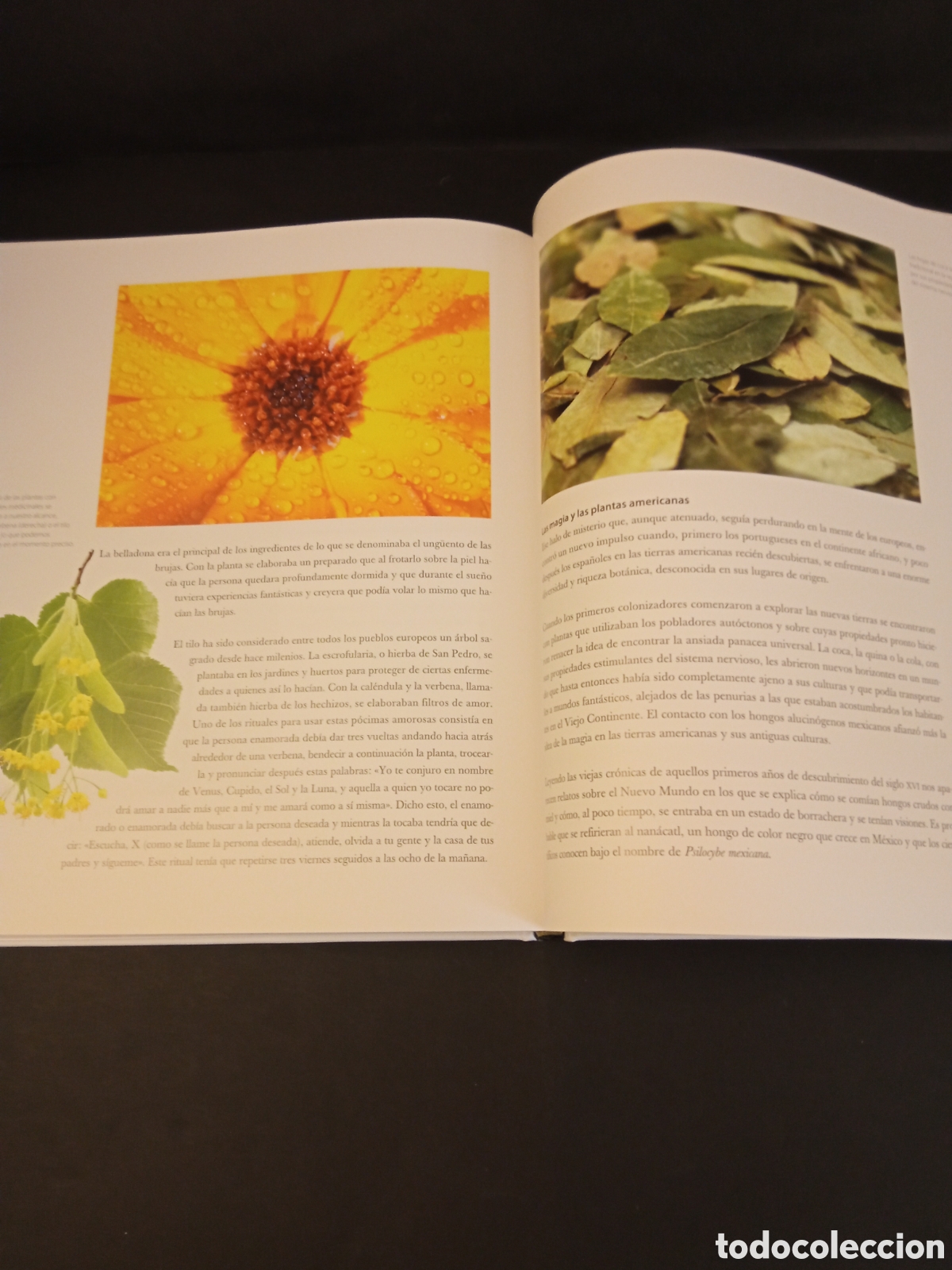 Libros: Salud y Bienestar Remedios naturales - Foto 9