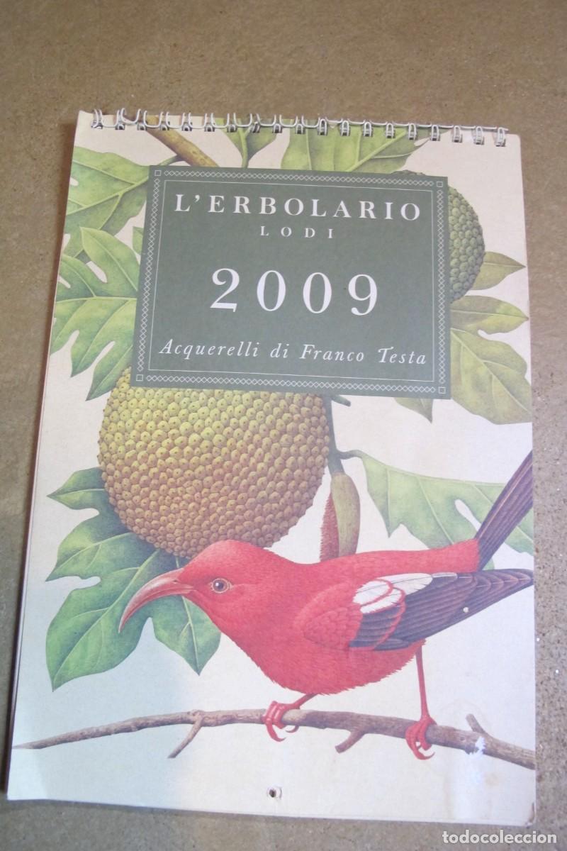 Libri di seconda mano: L'ERBOLARIO LODI 2009 ACQUERELLI DI FRANCO TESTA CALENDARIO ACUARELAS