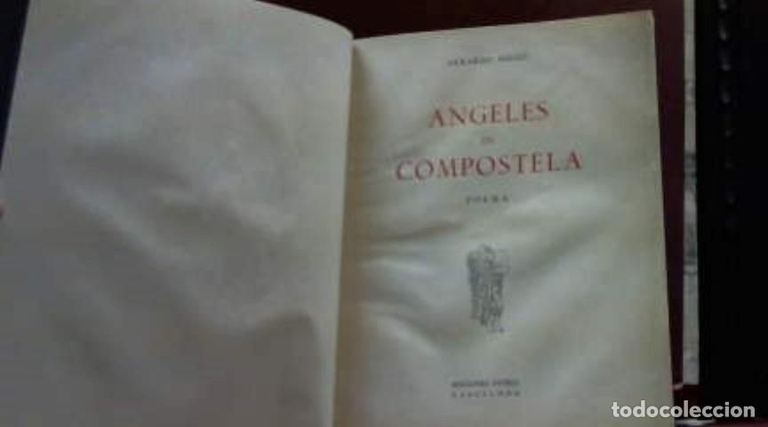 Libros: ANGELES DE COMPOSTELA DIEGO GERARDO 1940 - Foto 1