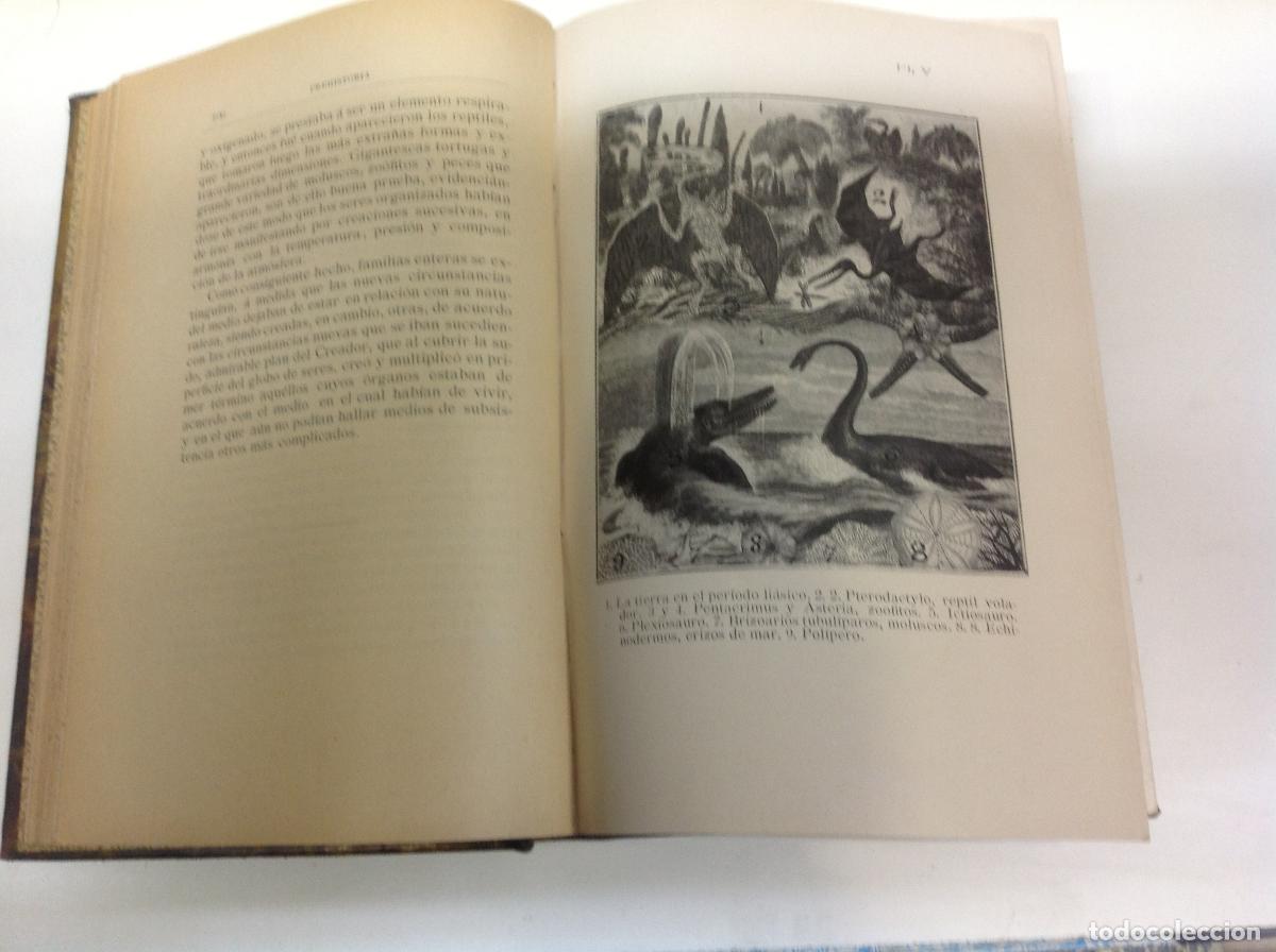Libros: PREHISTORIA RODRIGUEZ Y FERNANDEZ, ILDEFONSO 1906 - Foto 3