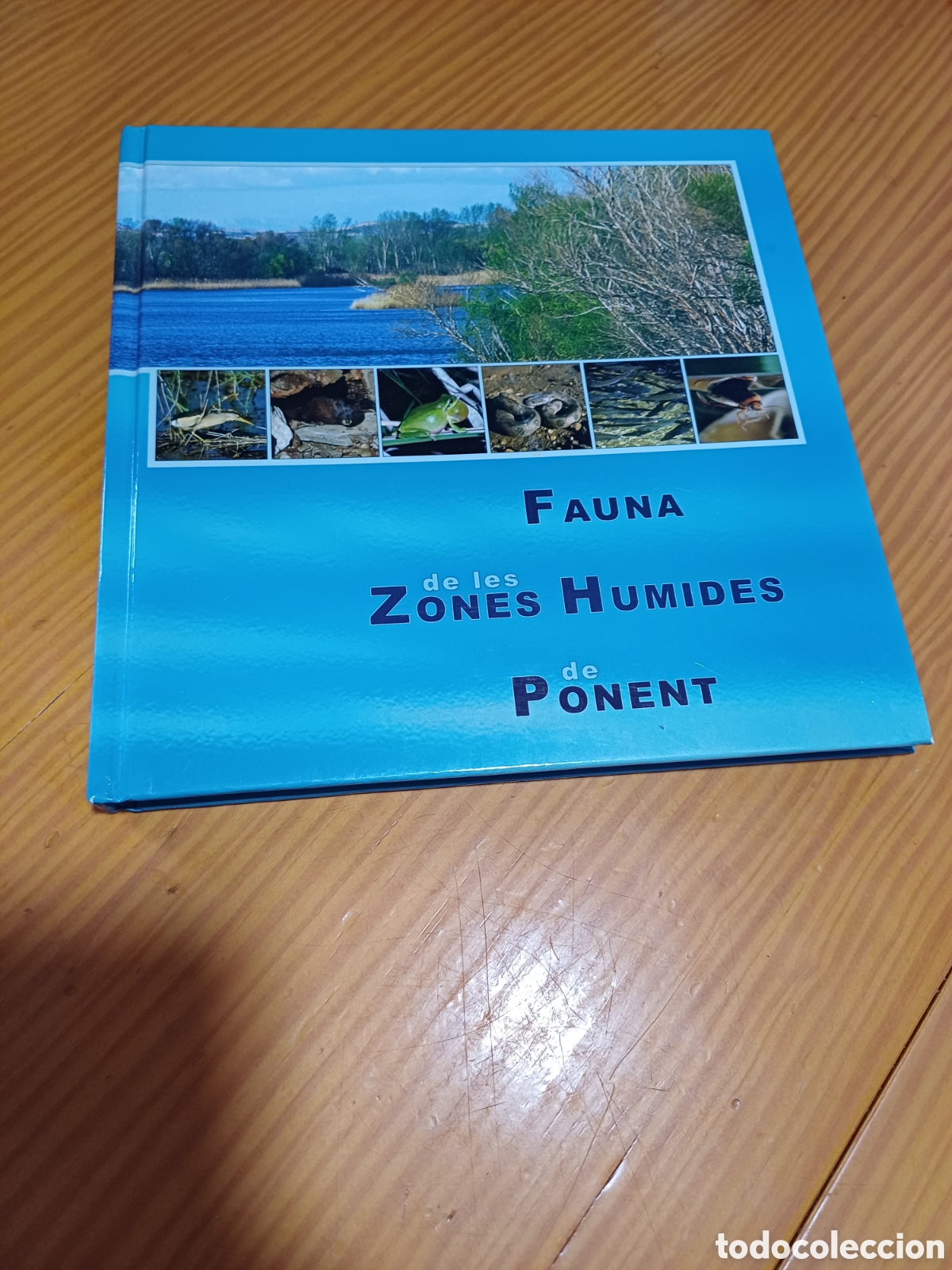 Libros: Fauna de les zones humides de Ponent - Foto 1
