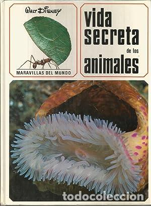 Libros: VIDA SECRETA DE LOS ANIMALES - Disney,Walt - Foto 1