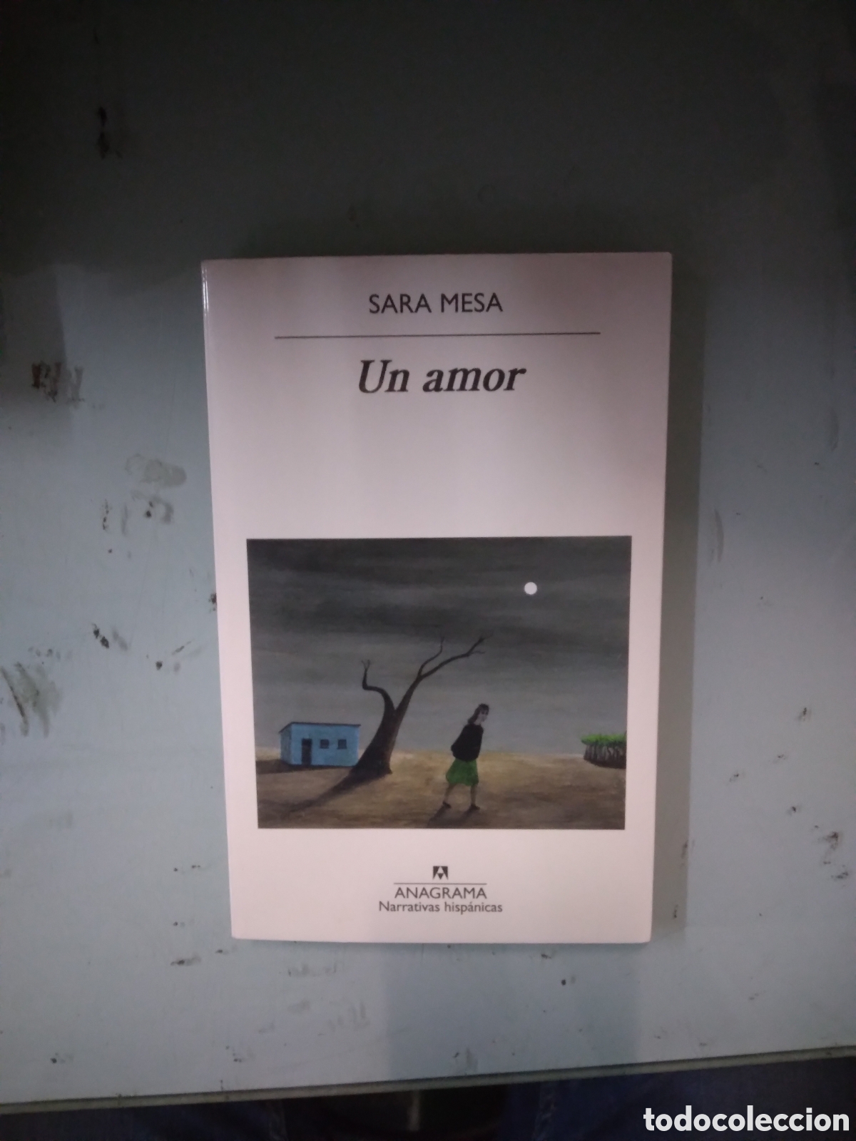 Libros: Sara Mesa, Un Amor, Anagrama 651 - Foto 1