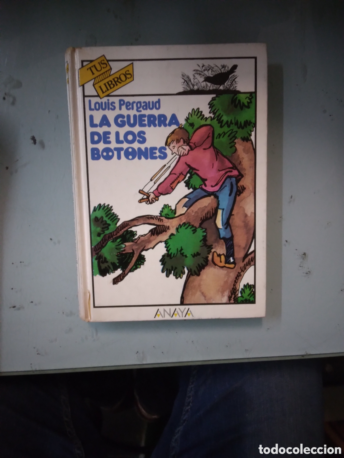 Libros: Louis Pergaud, La.guerra de los botones, Anaya - Foto 1