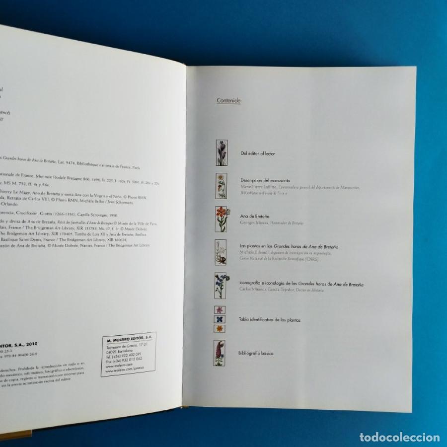 Libros: Grandes Horas de Ana de Breta&ntilde;a. - - Foto 3