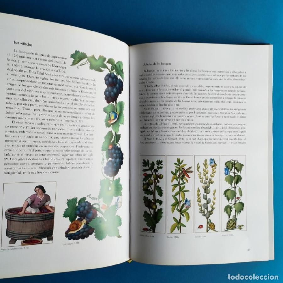 Libros: Grandes Horas de Ana de Breta&ntilde;a. - - Foto 5