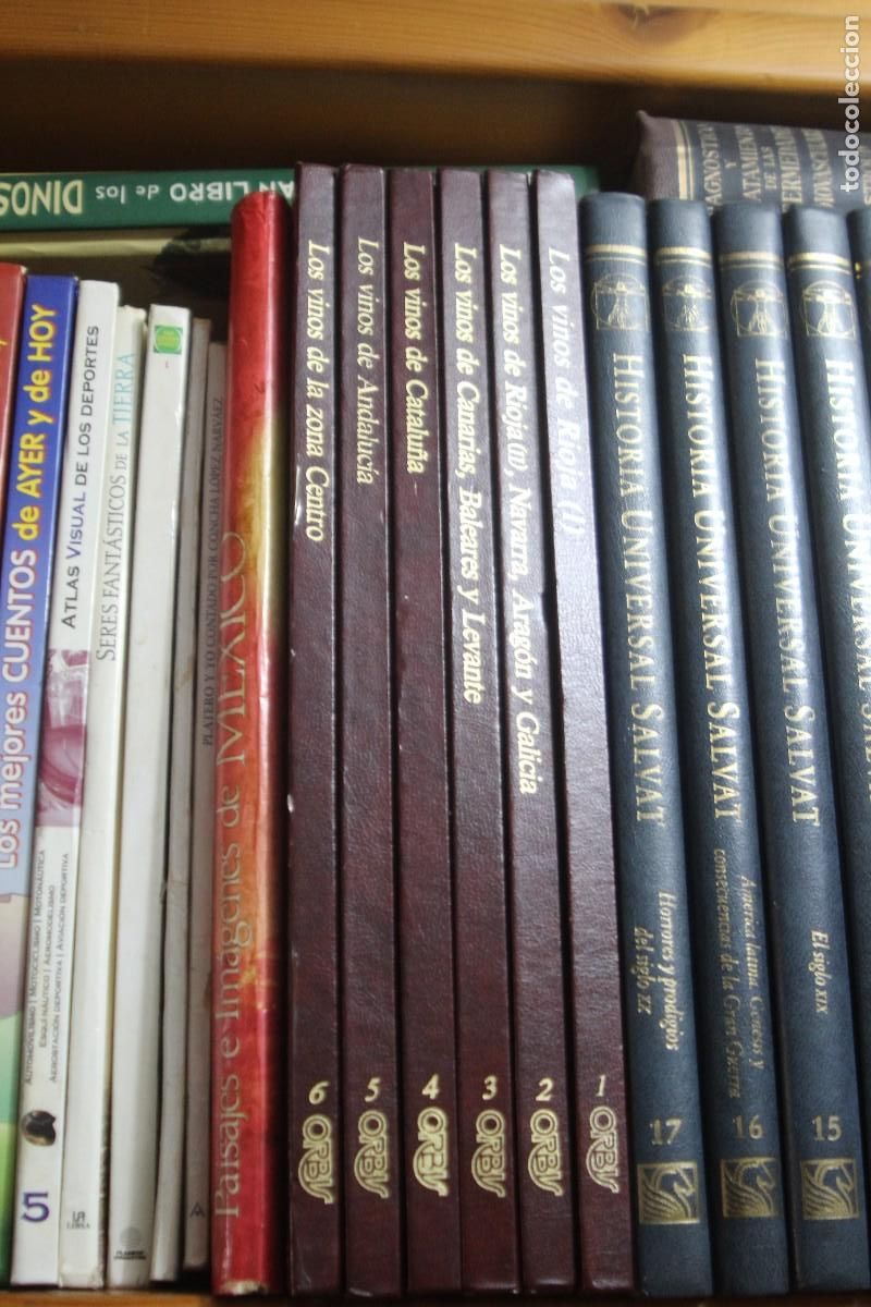 Libros: LOS VINOS 6 TOMOS ORBIS - Foto 1
