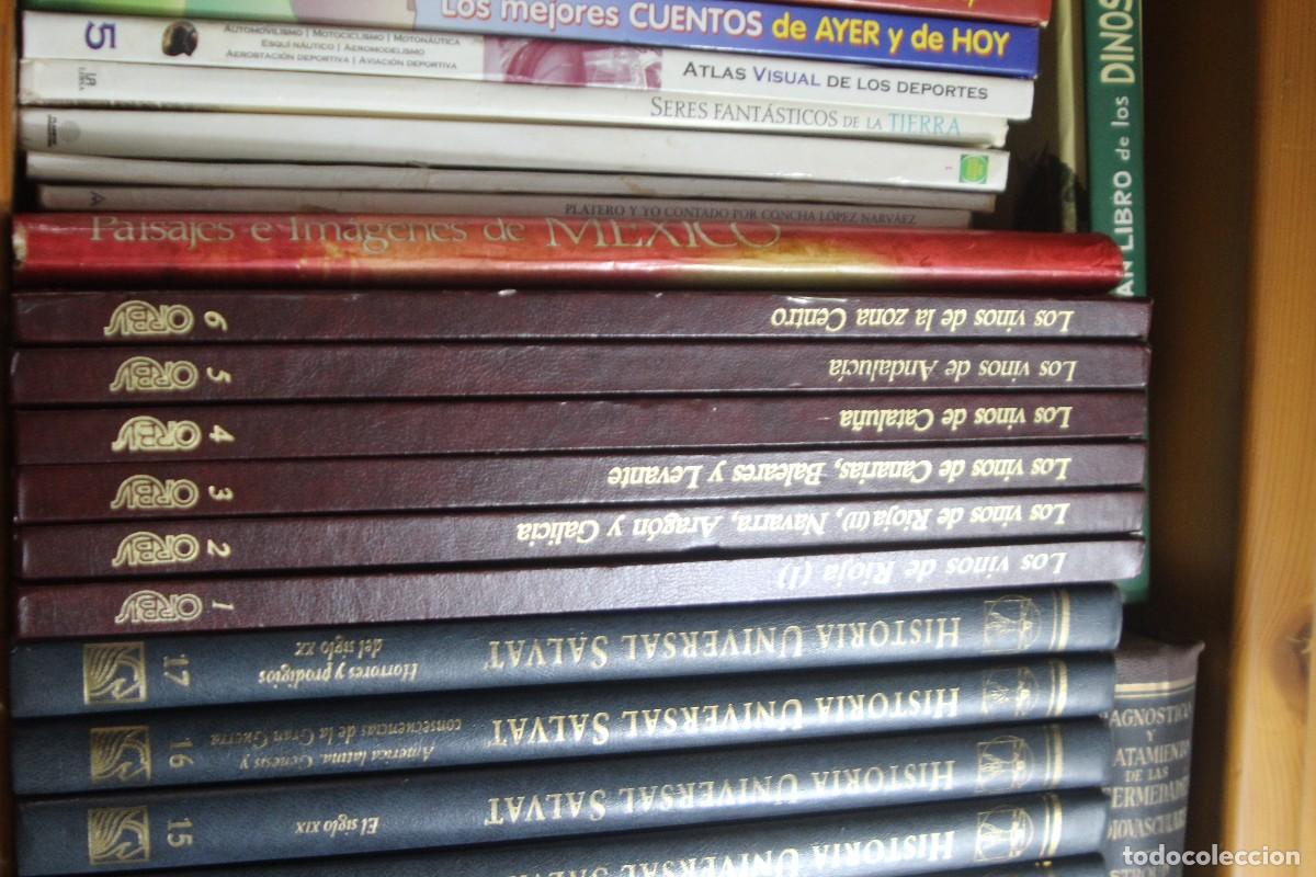 Libros: LOS VINOS 6 TOMOS ORBIS - Foto 2
