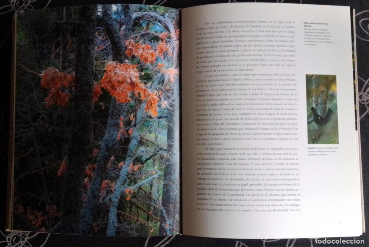 Libros: El bosque protector - Foto 3