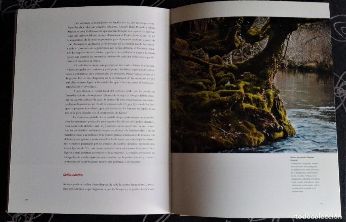 Libros: El bosque protector - Foto 4