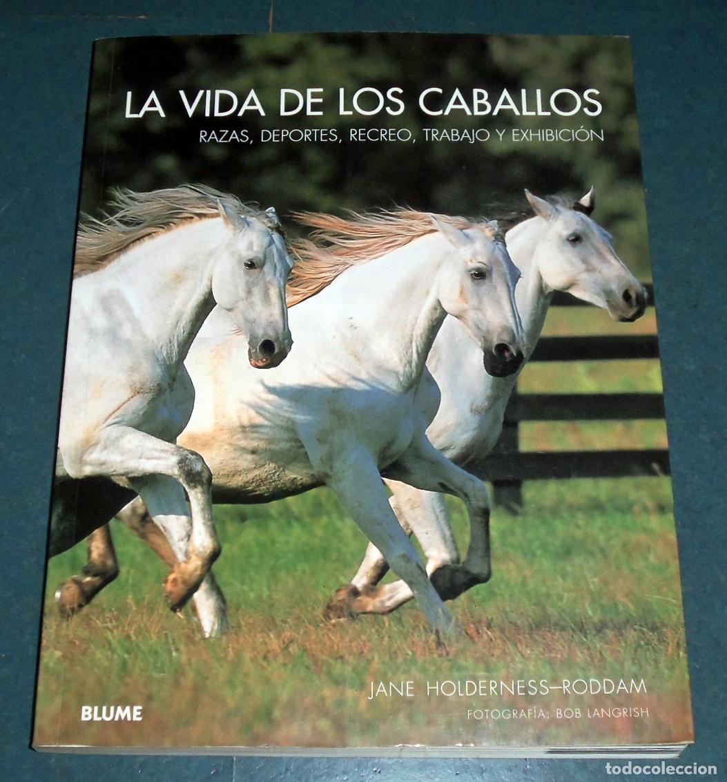 Libros: Libro &rdquo;LA VIDA DE LOS CABALLOS&rdquo;, de Jane Holderness-Roddam - Foto 1