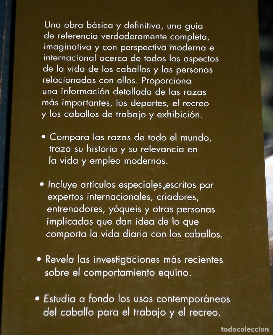 Libros: Libro &rdquo;LA VIDA DE LOS CABALLOS&rdquo;, de Jane Holderness-Roddam - Foto 2