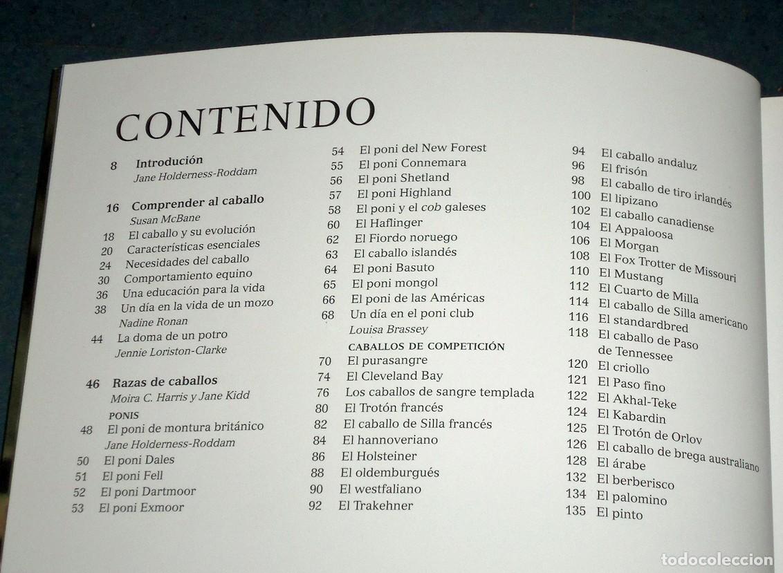 Libros: Libro &rdquo;LA VIDA DE LOS CABALLOS&rdquo;, de Jane Holderness-Roddam - Foto 3