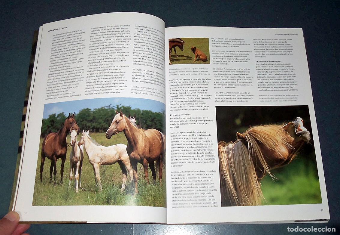 Libros: Libro &rdquo;LA VIDA DE LOS CABALLOS&rdquo;, de Jane Holderness-Roddam - Foto 5