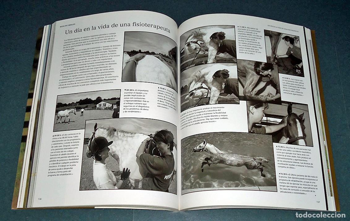 Libros: Libro &rdquo;LA VIDA DE LOS CABALLOS&rdquo;, de Jane Holderness-Roddam - Foto 7