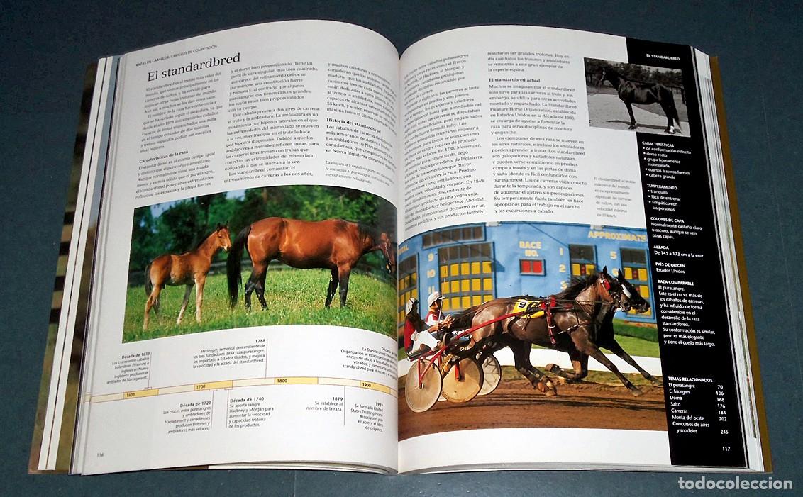 Libros: Libro &rdquo;LA VIDA DE LOS CABALLOS&rdquo;, de Jane Holderness-Roddam - Foto 8